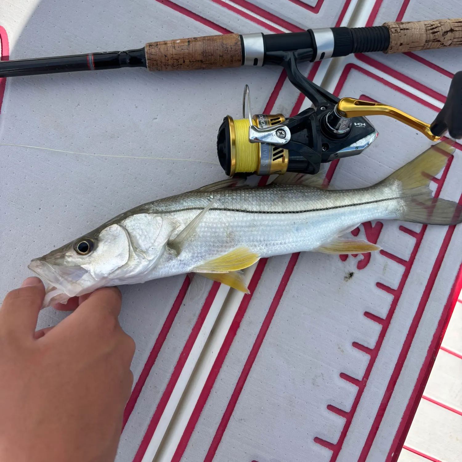 catch