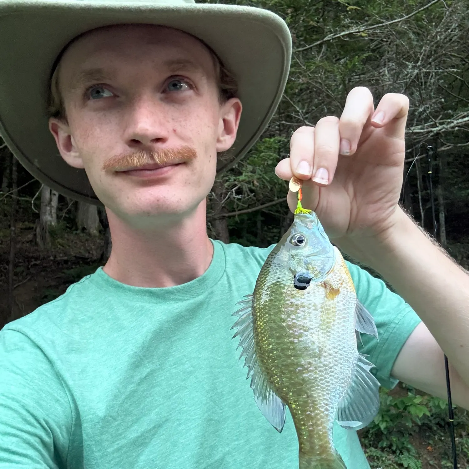 Bluegill caught on Fishbrain