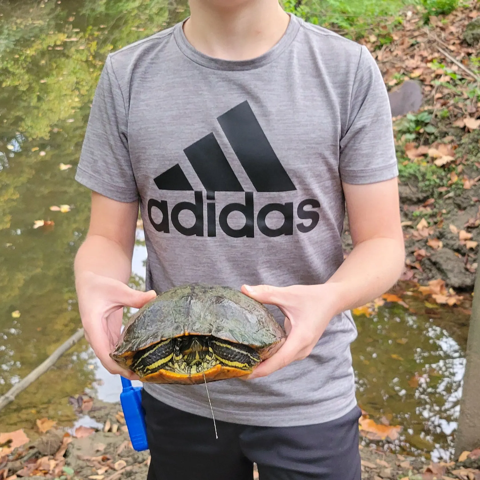 Painted turtle caught on Fishbrain