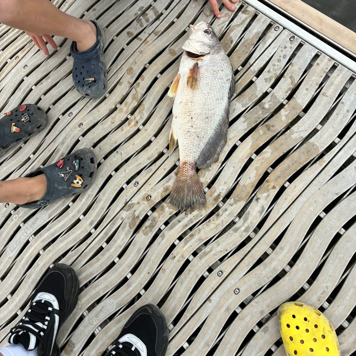 catch