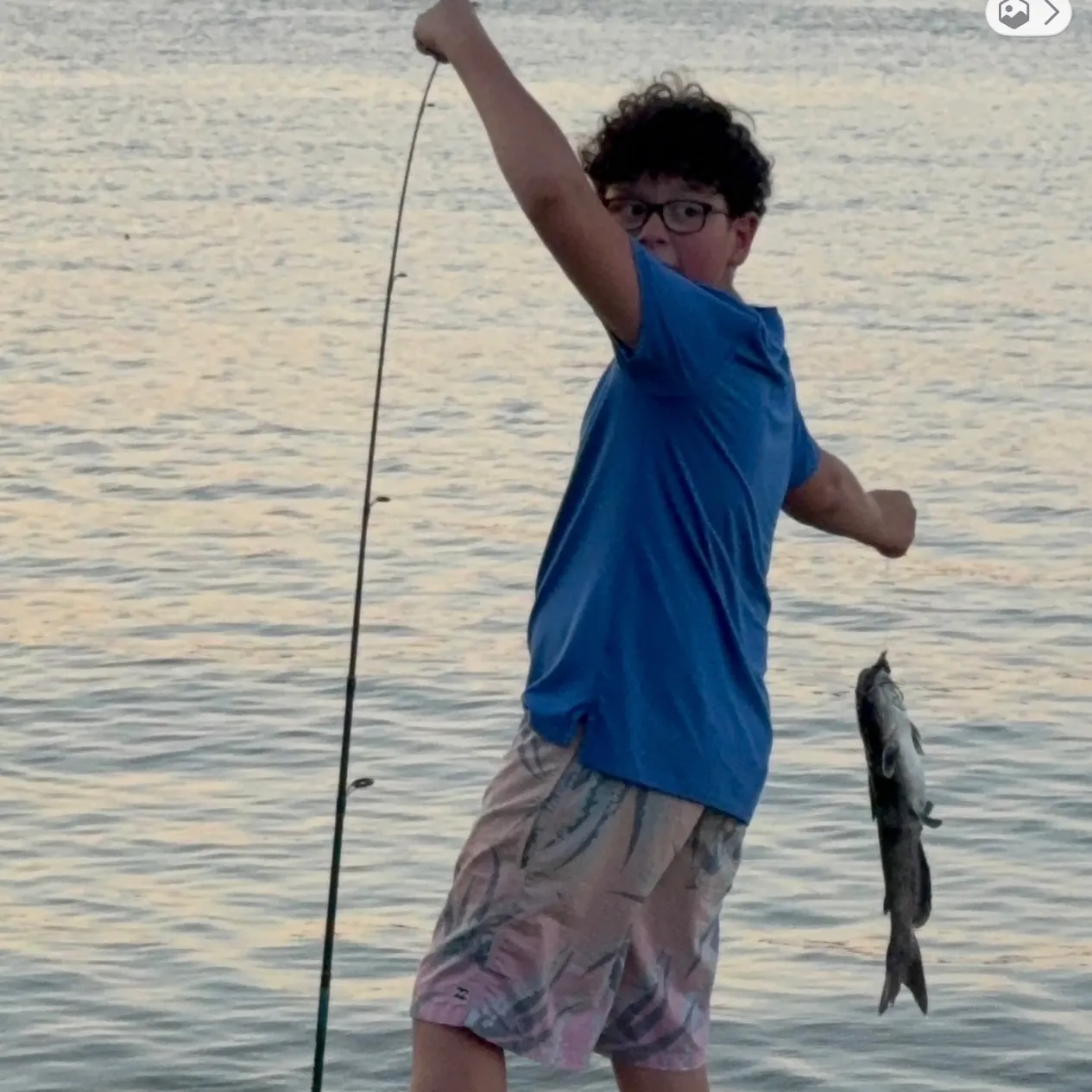 Blue catfish caught on Fishbrain