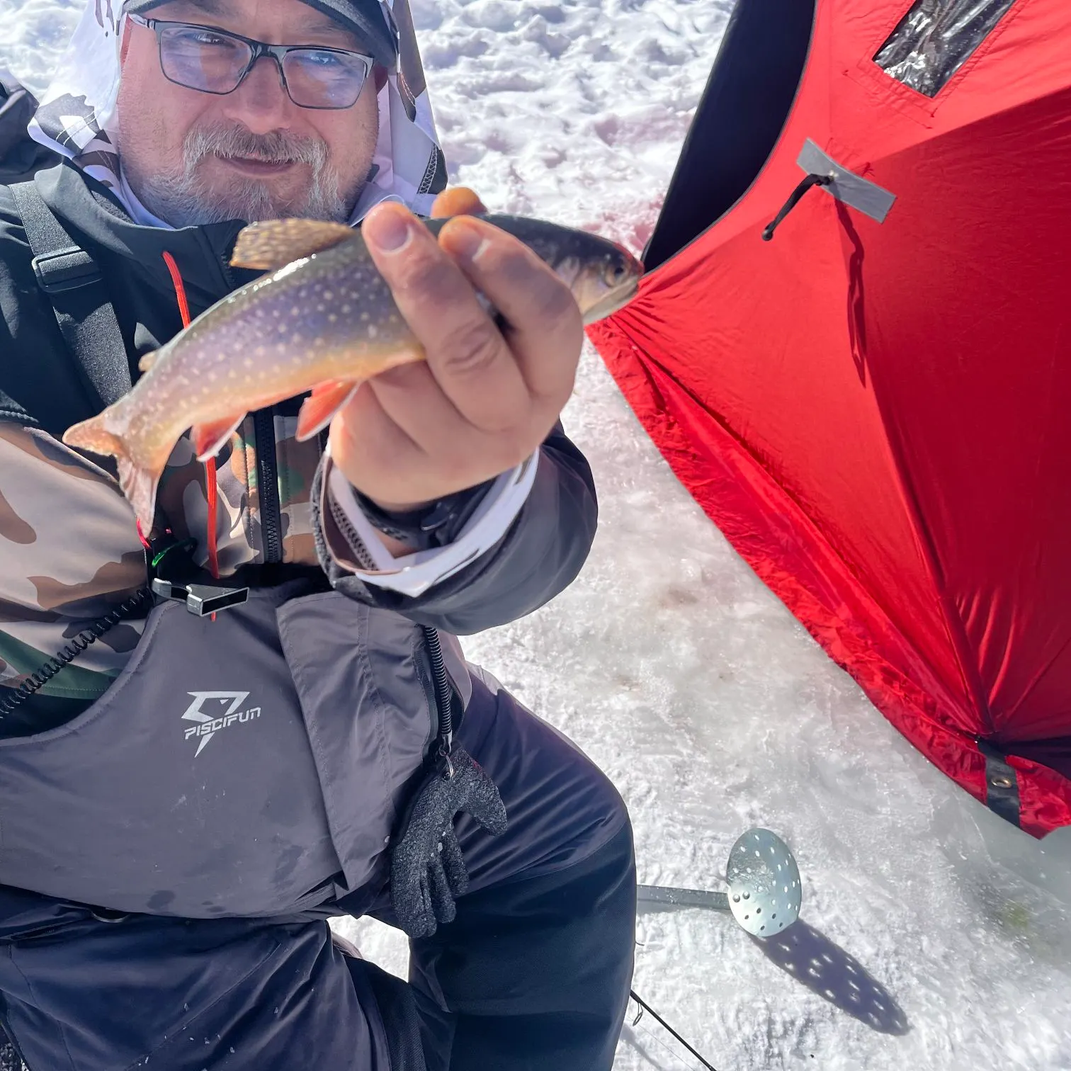 The most recent Splake catches on Fishbrain