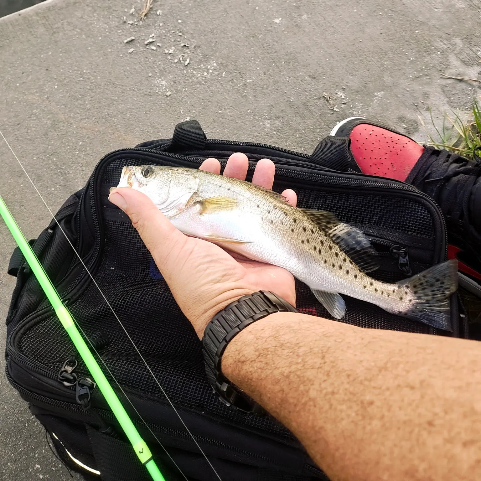 catch