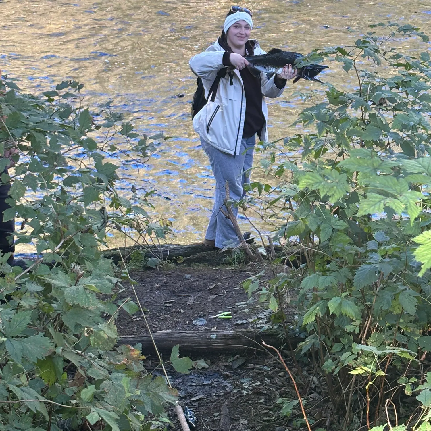 Coho salmon caught on Fishbrain