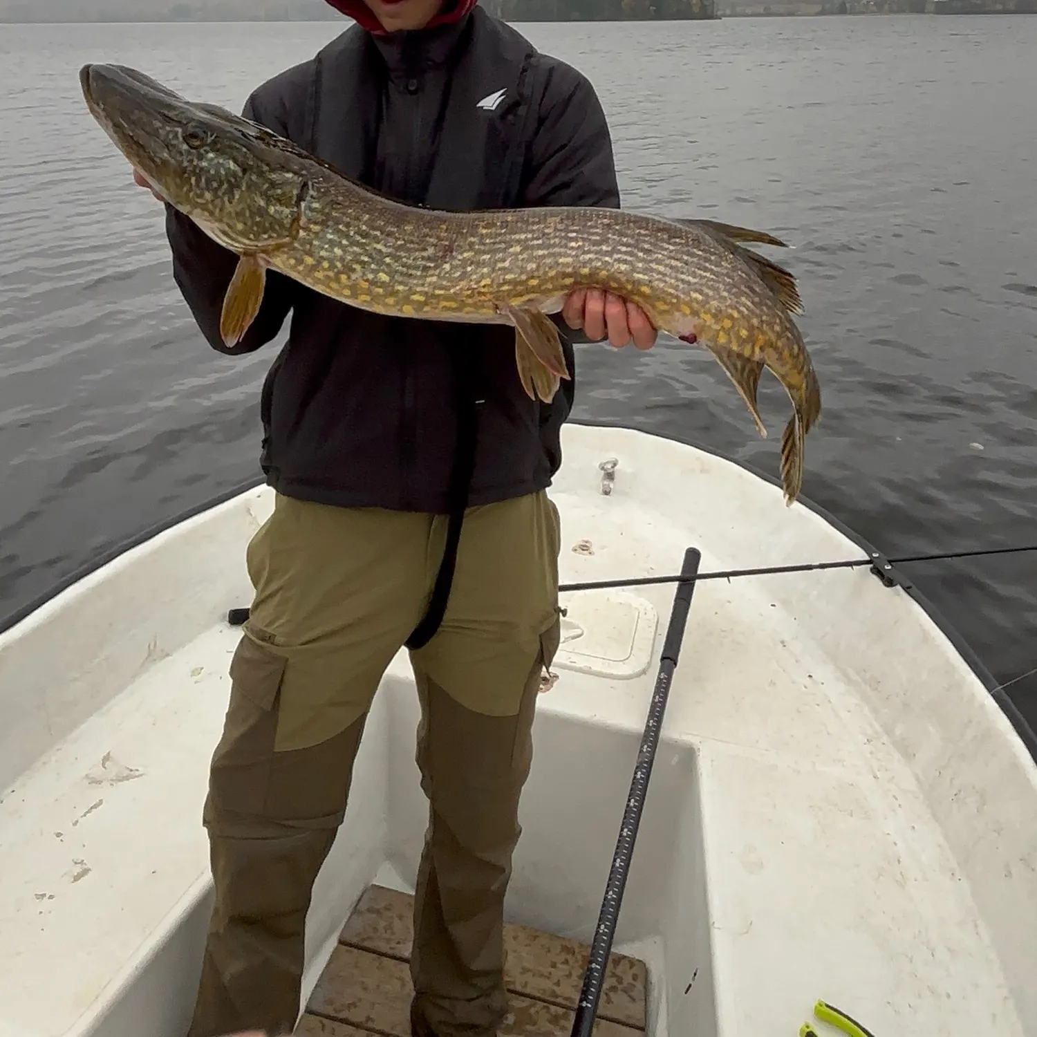 Northern pike caught on Fishbrain