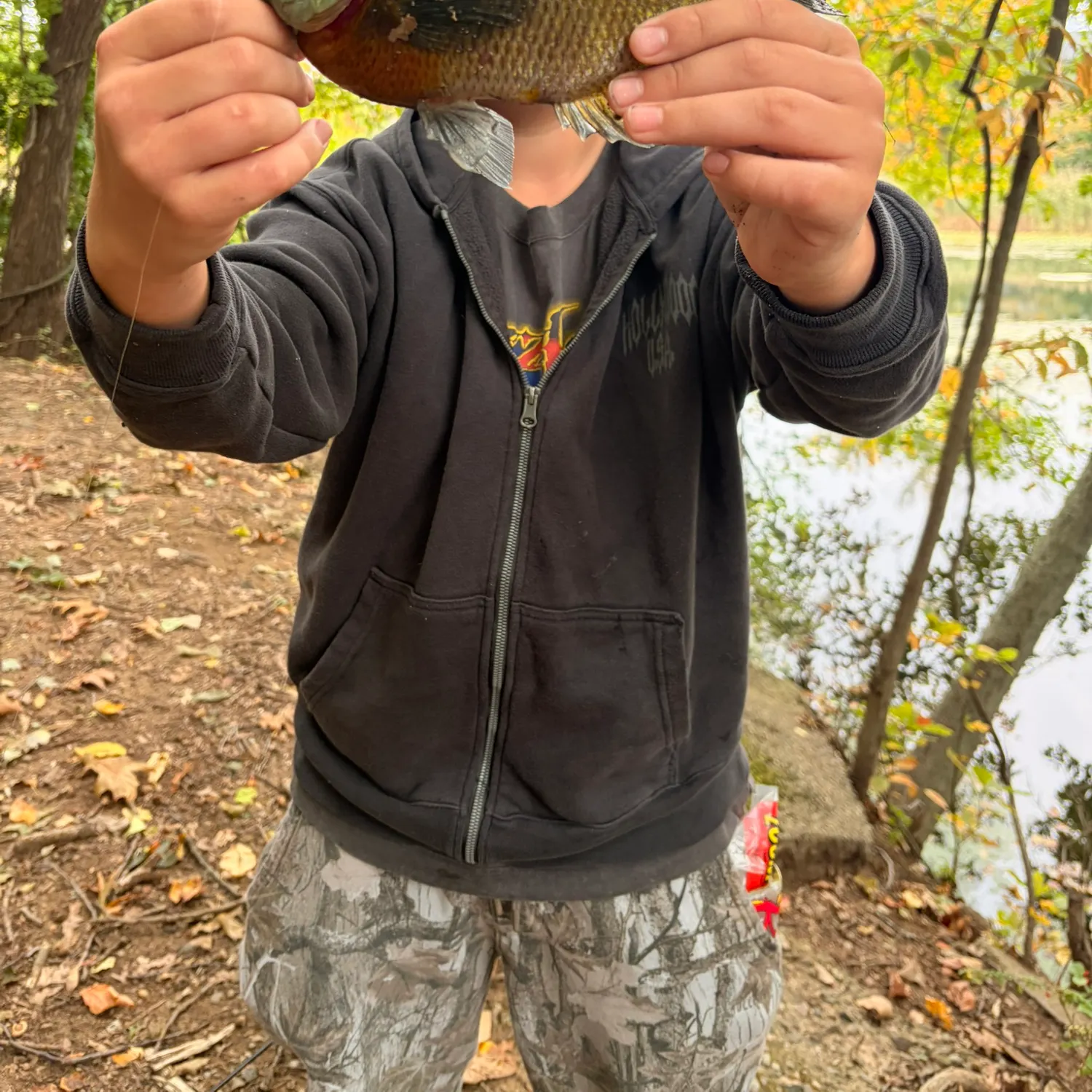 Bluegill caught on Fishbrain