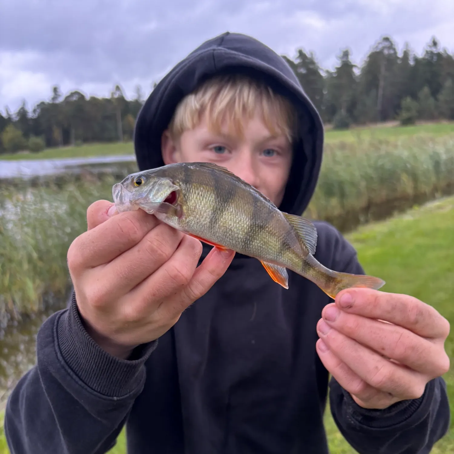 Fish caught on Fishbrain