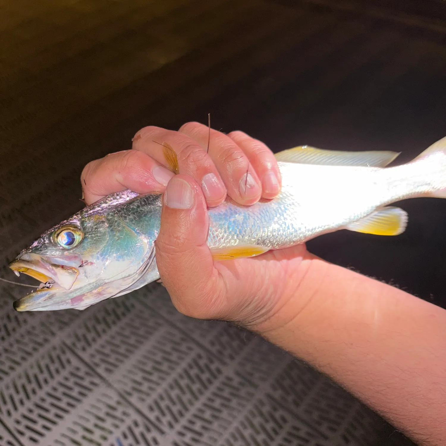 Sand seatrout caught on Fishbrain