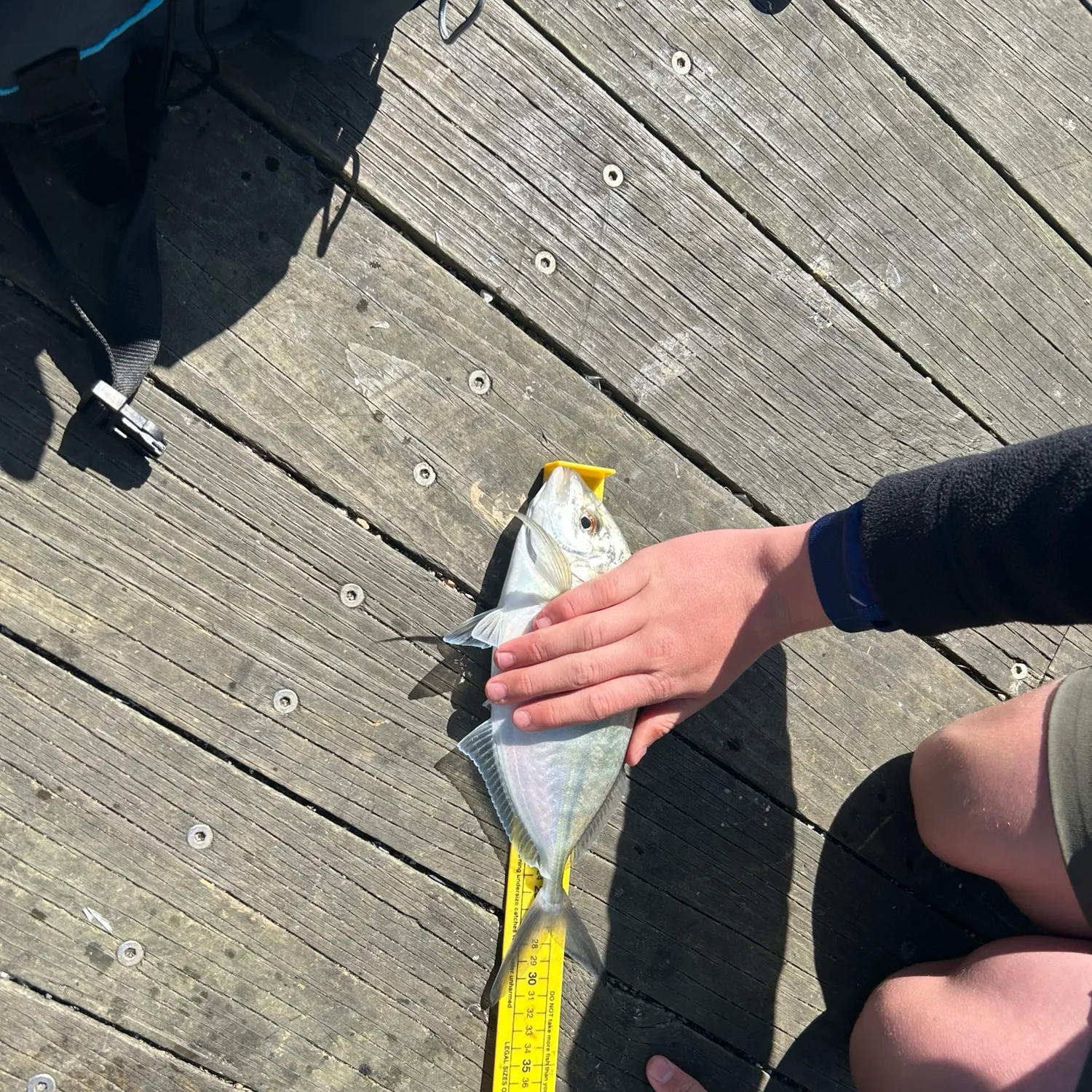 White trevally caught on Fishbrain