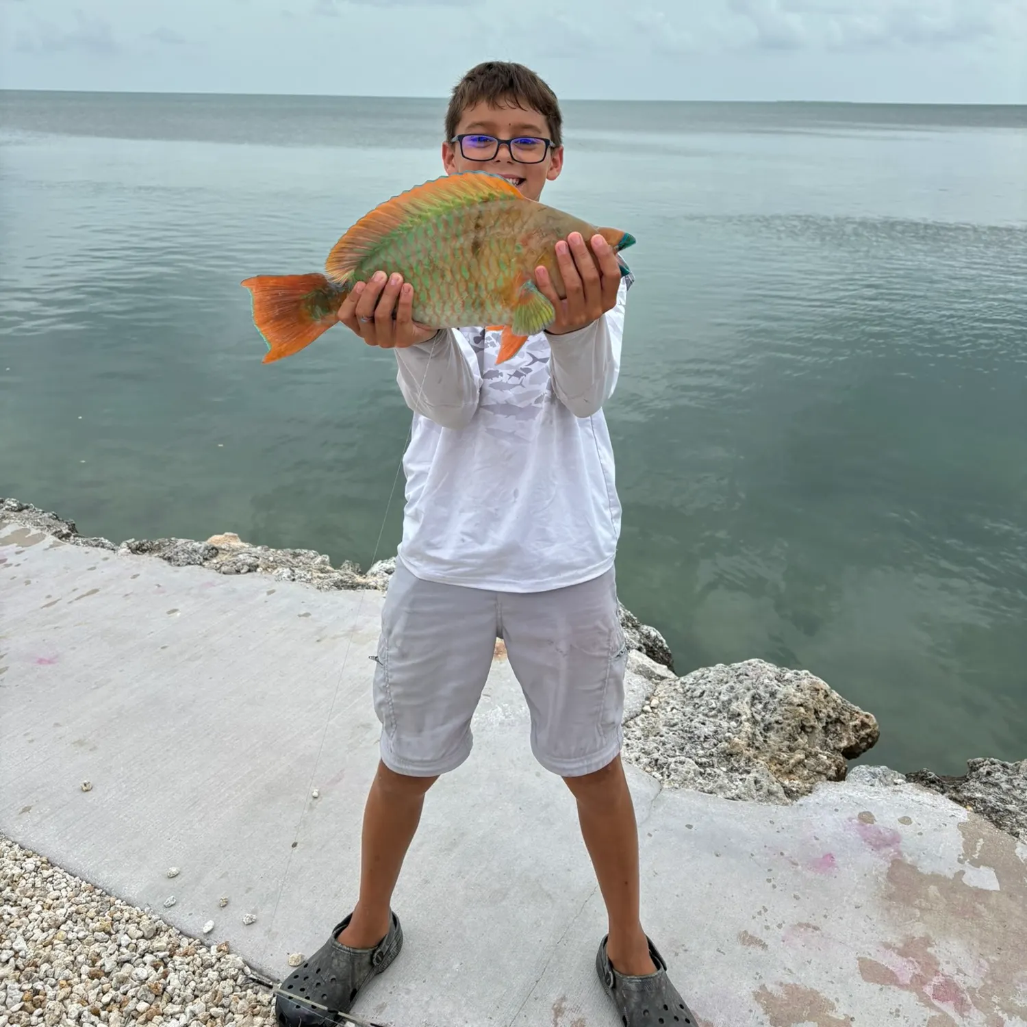 The most recent Common parrotfish catches on Fishbrain