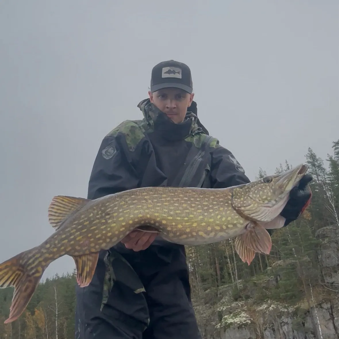 Northern pike caught on Fishbrain