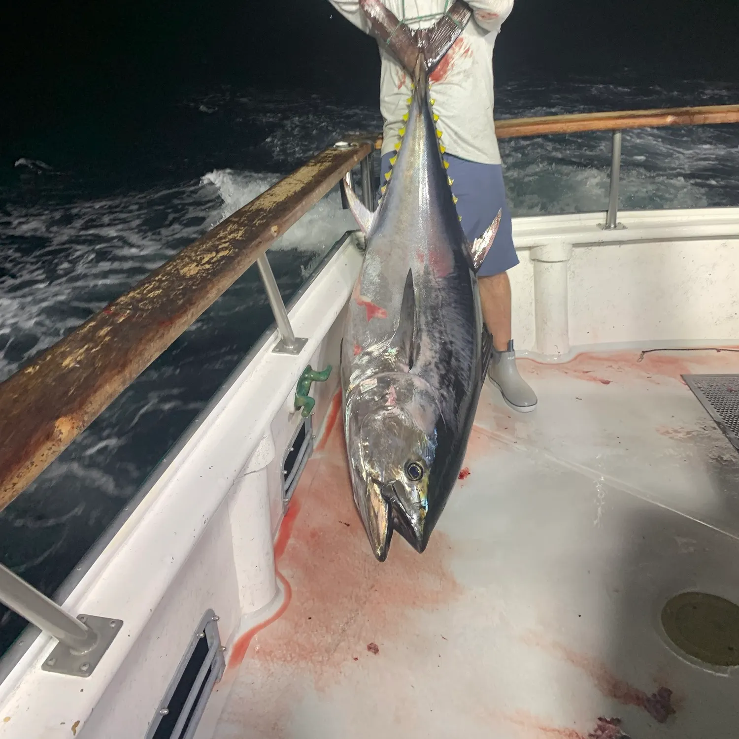 The most recent Pacific bluefin tuna catches on Fishbrain