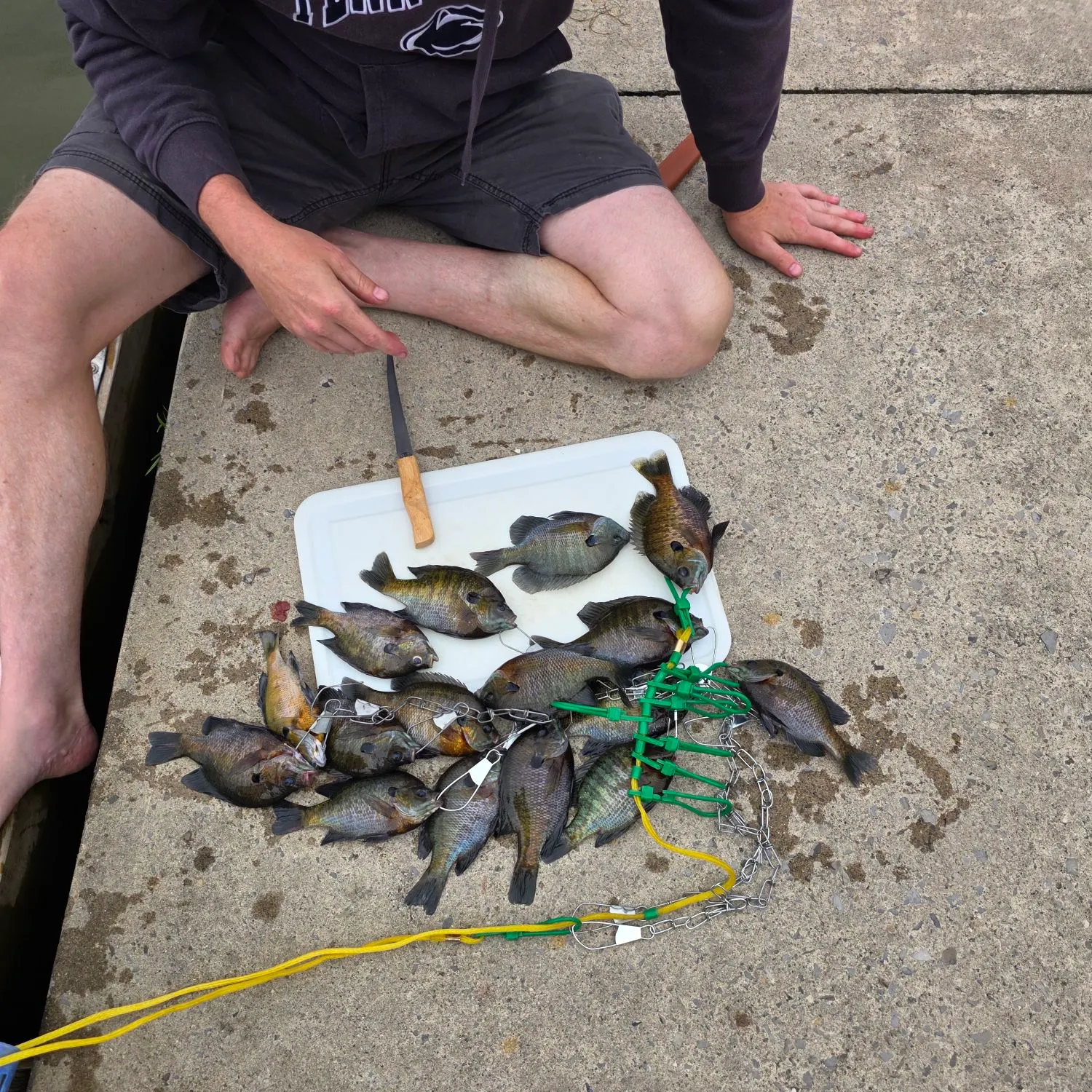recently logged catches