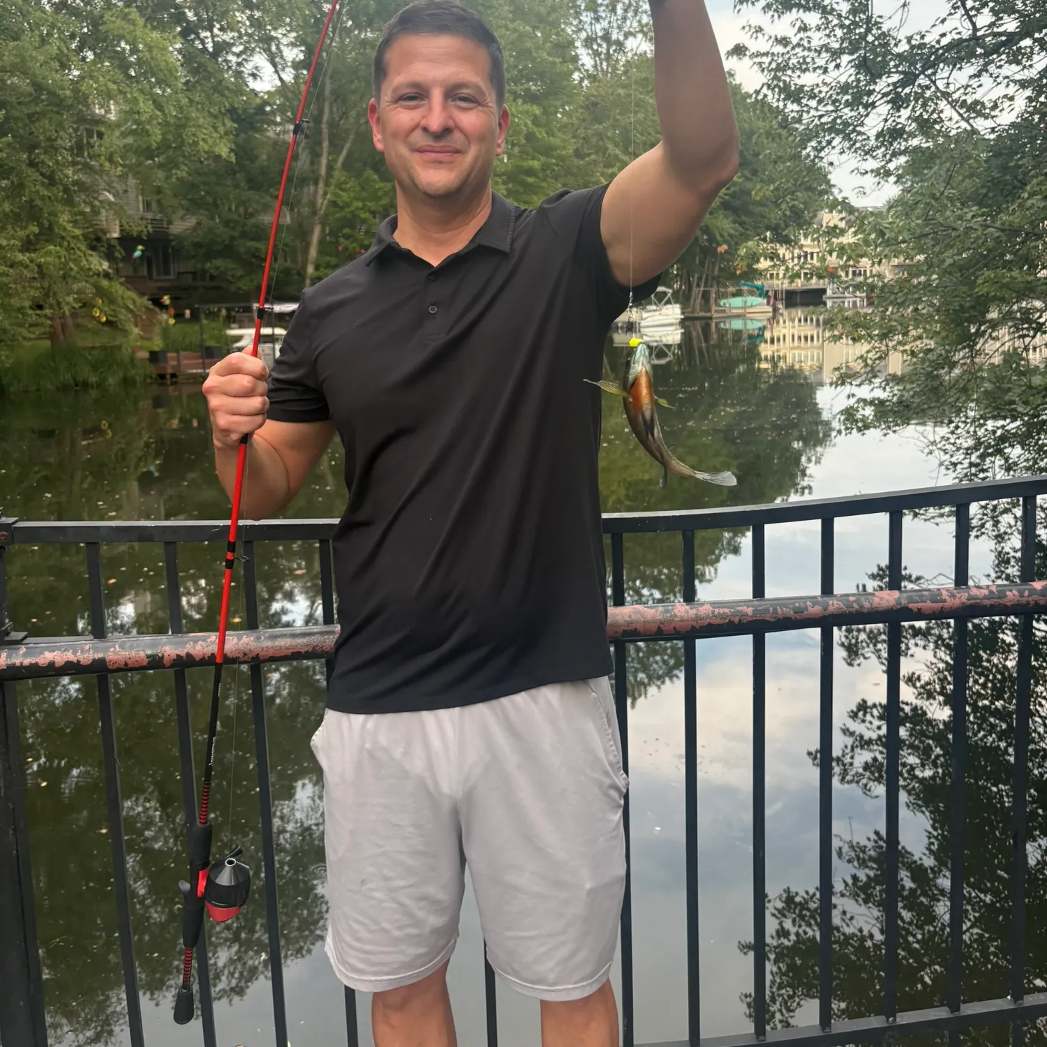 Bluegill caught on Fishbrain