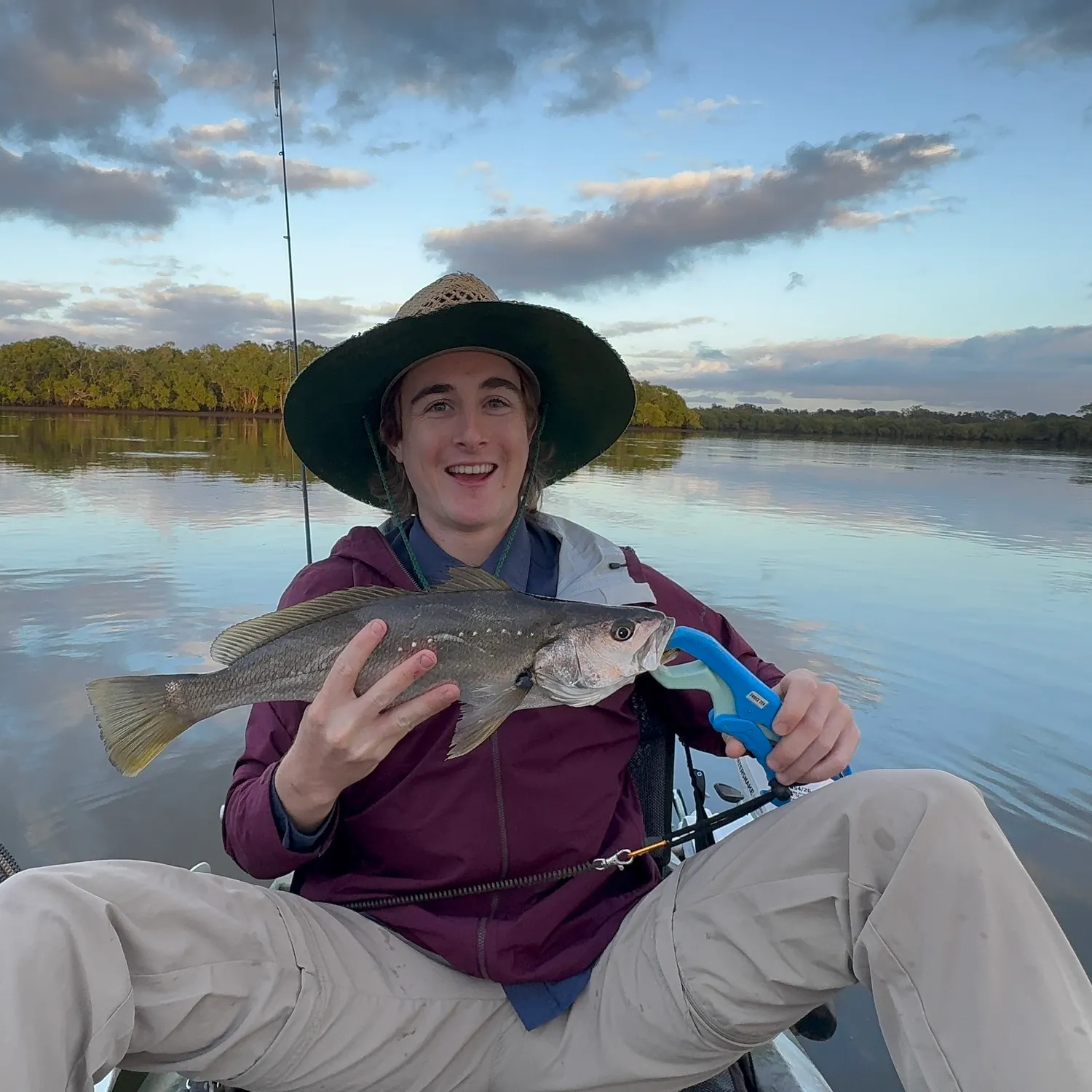 Japanese meagre caught on Fishbrain