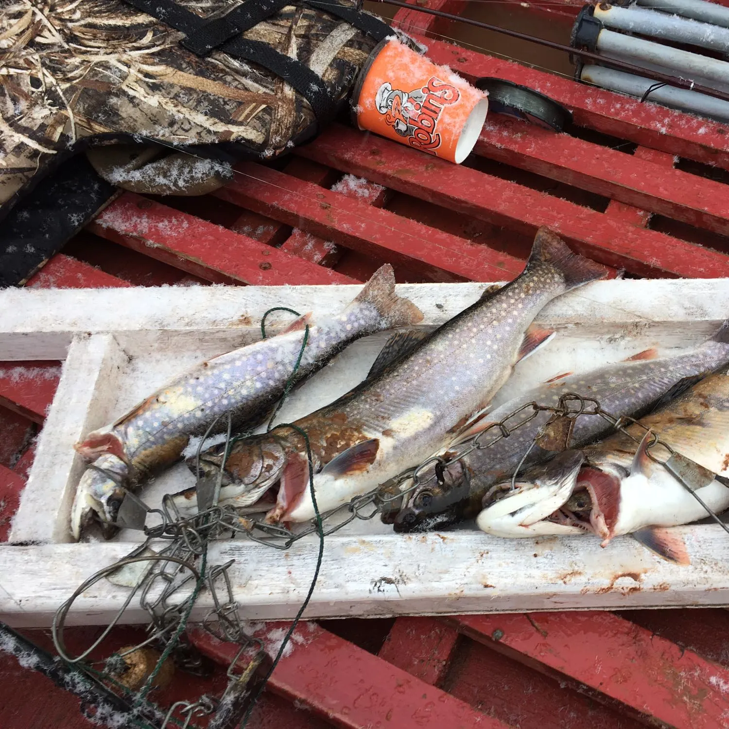 recently logged catches