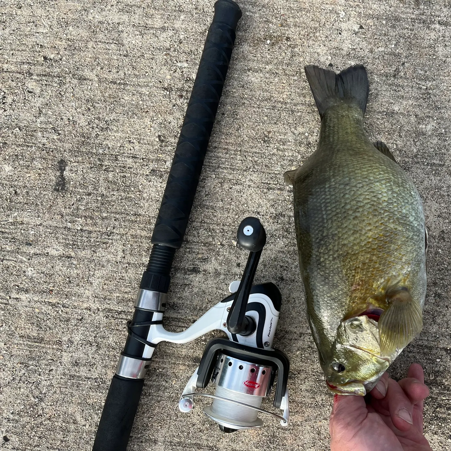 Smallmouth bass caught on Fishbrain