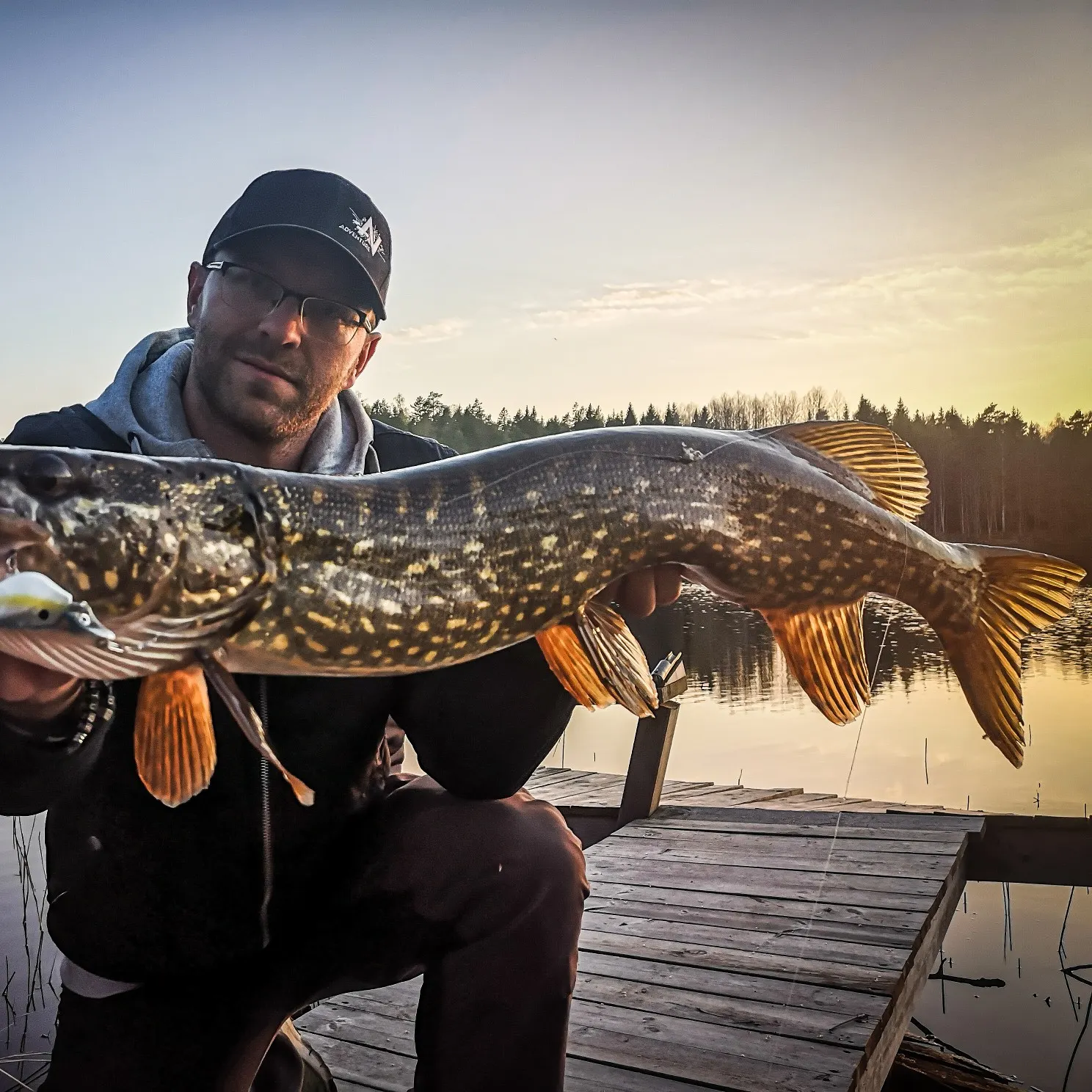 Northern pike caught on Fishbrain