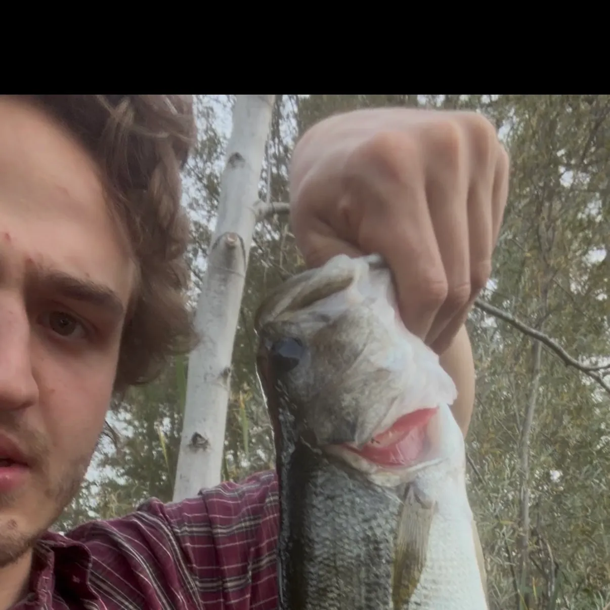 Fish caught on Fishbrain