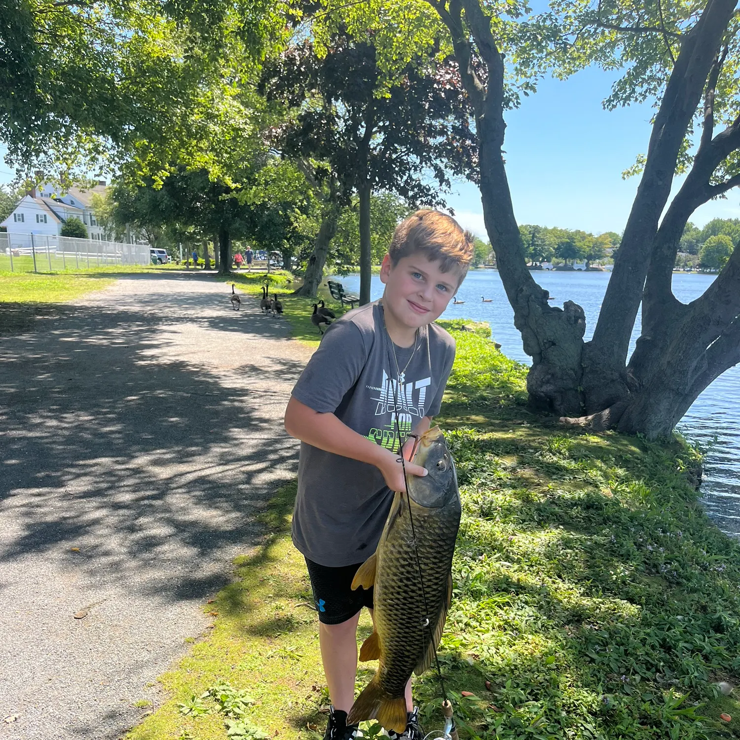 Common carp caught on Fishbrain