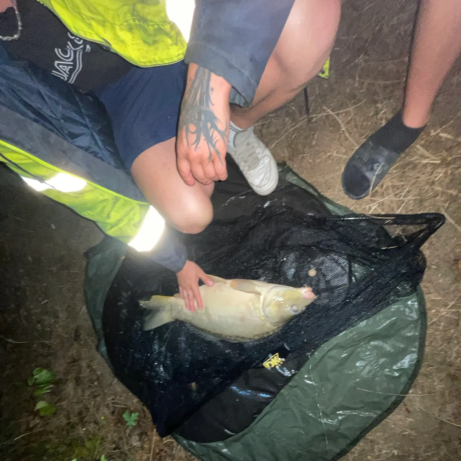 Mirror carp caught on Fishbrain