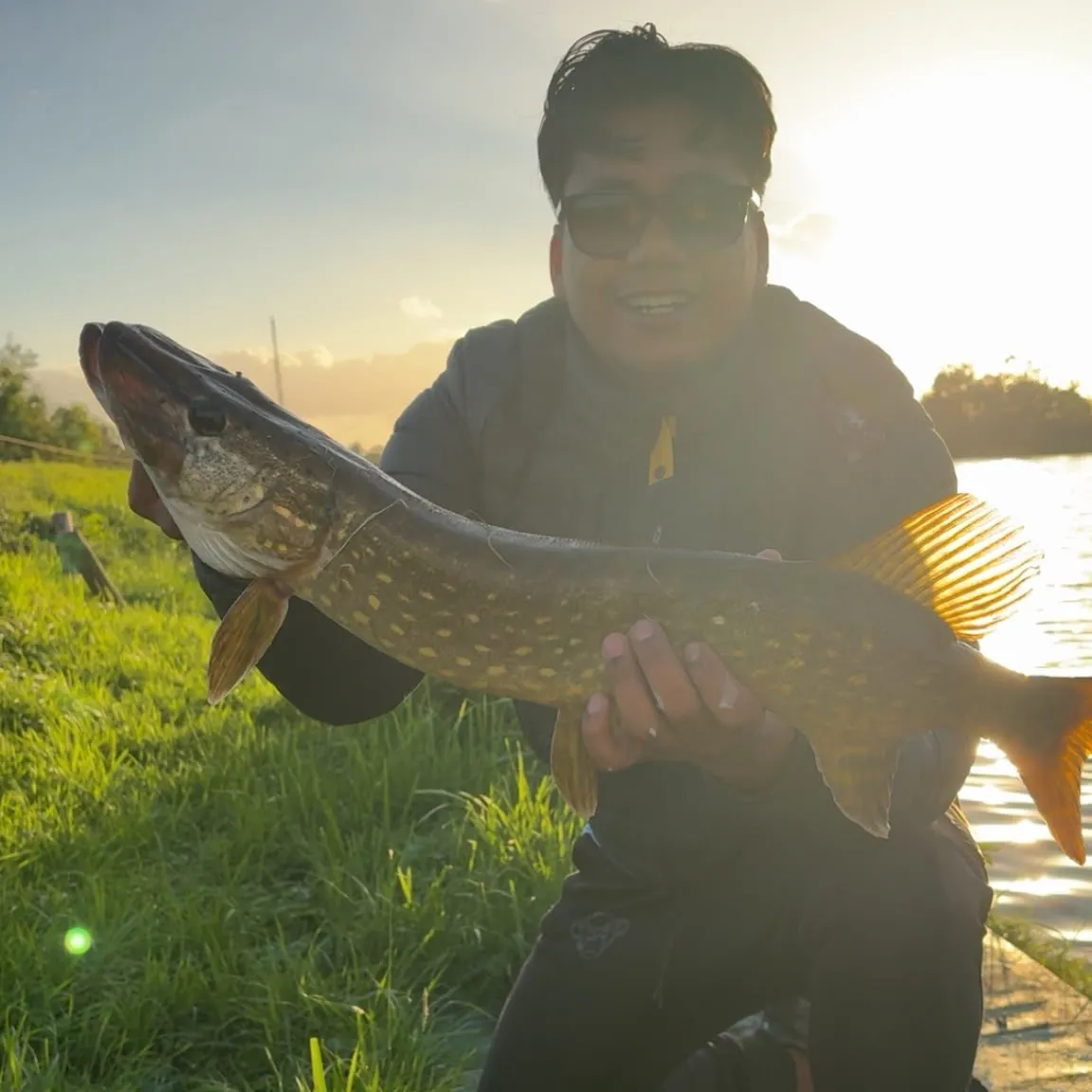 Northern pike caught on Fishbrain