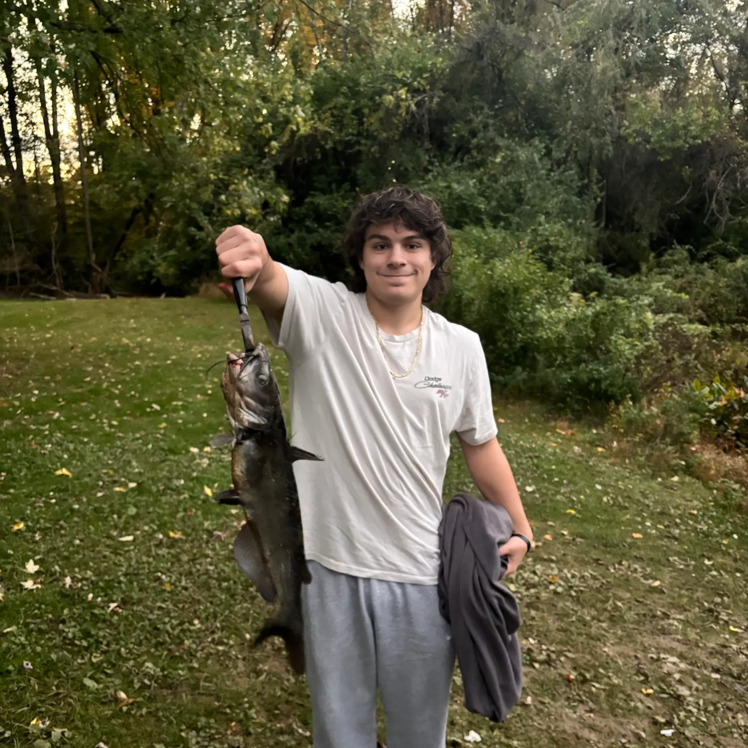 Channel catfish caught on Fishbrain