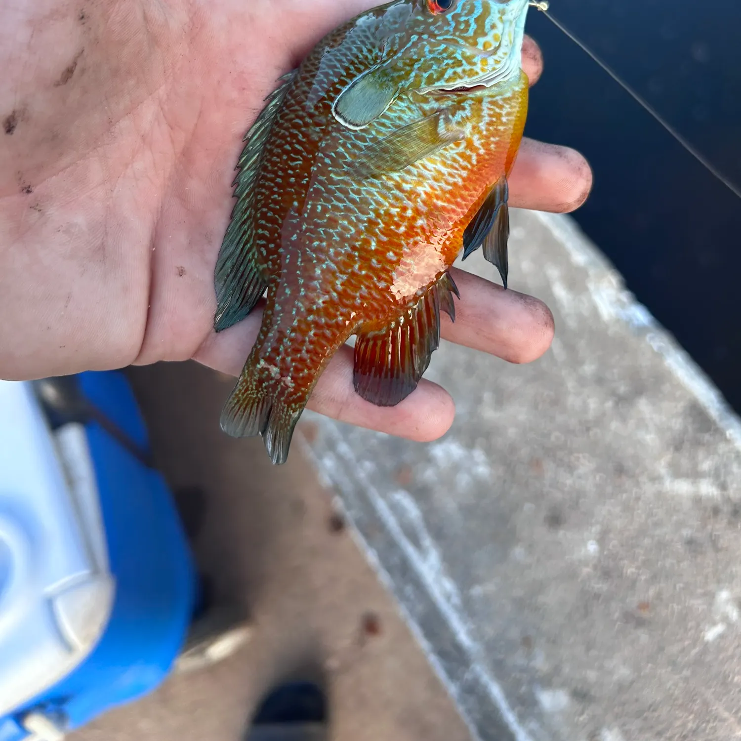 catch