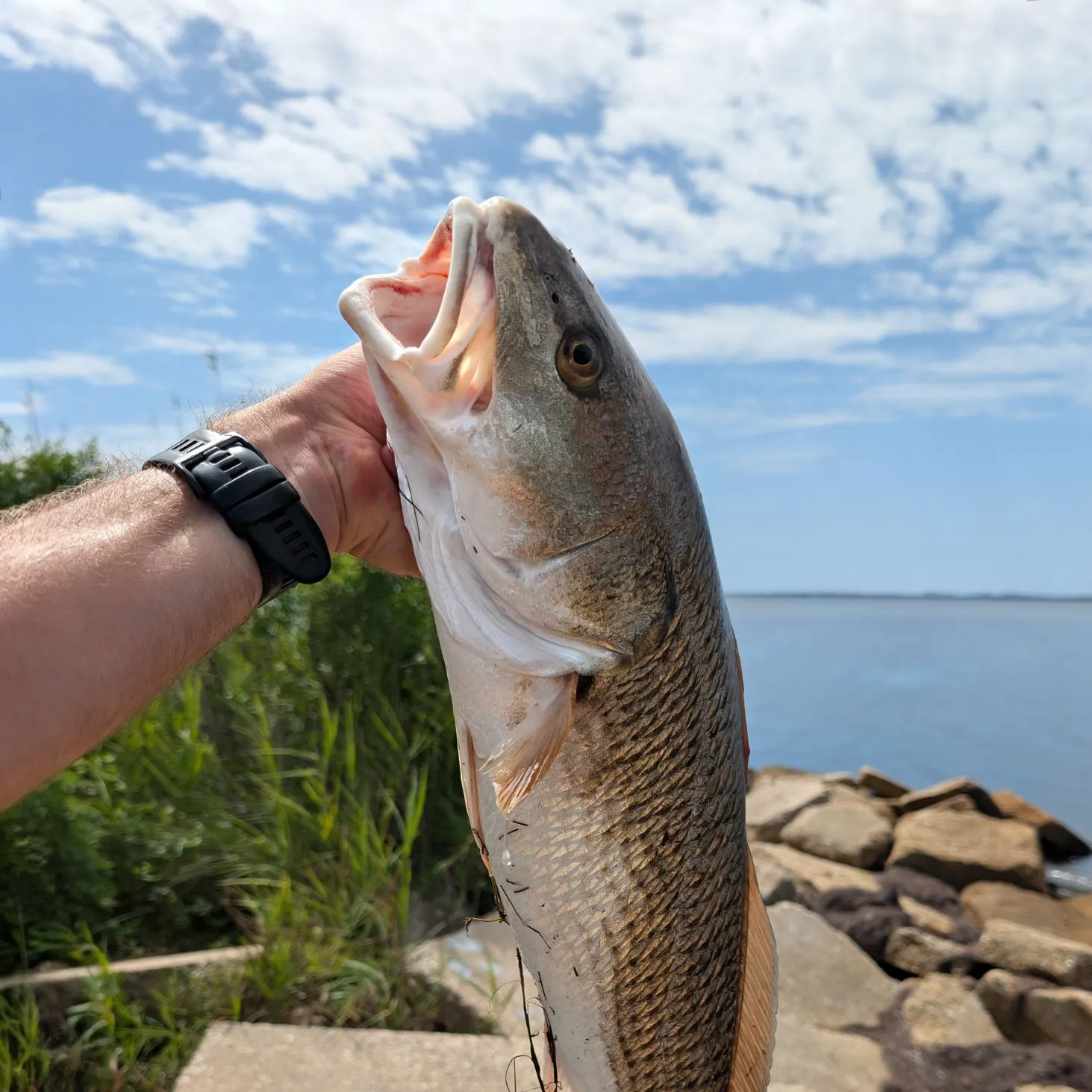 catch