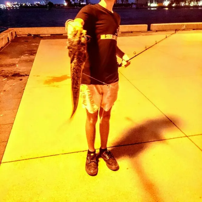 angler catch
