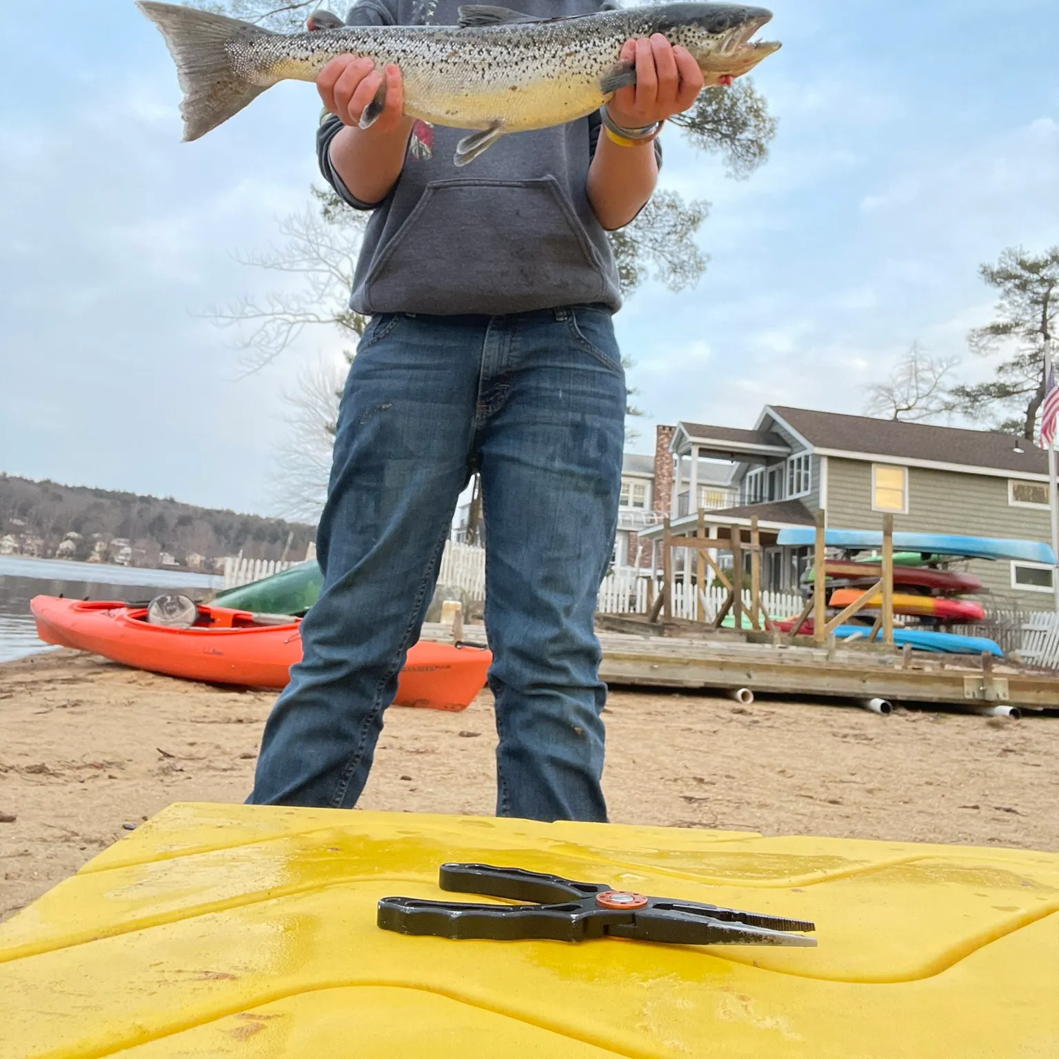 The most recent Atlantic salmon catches on Fishbrain