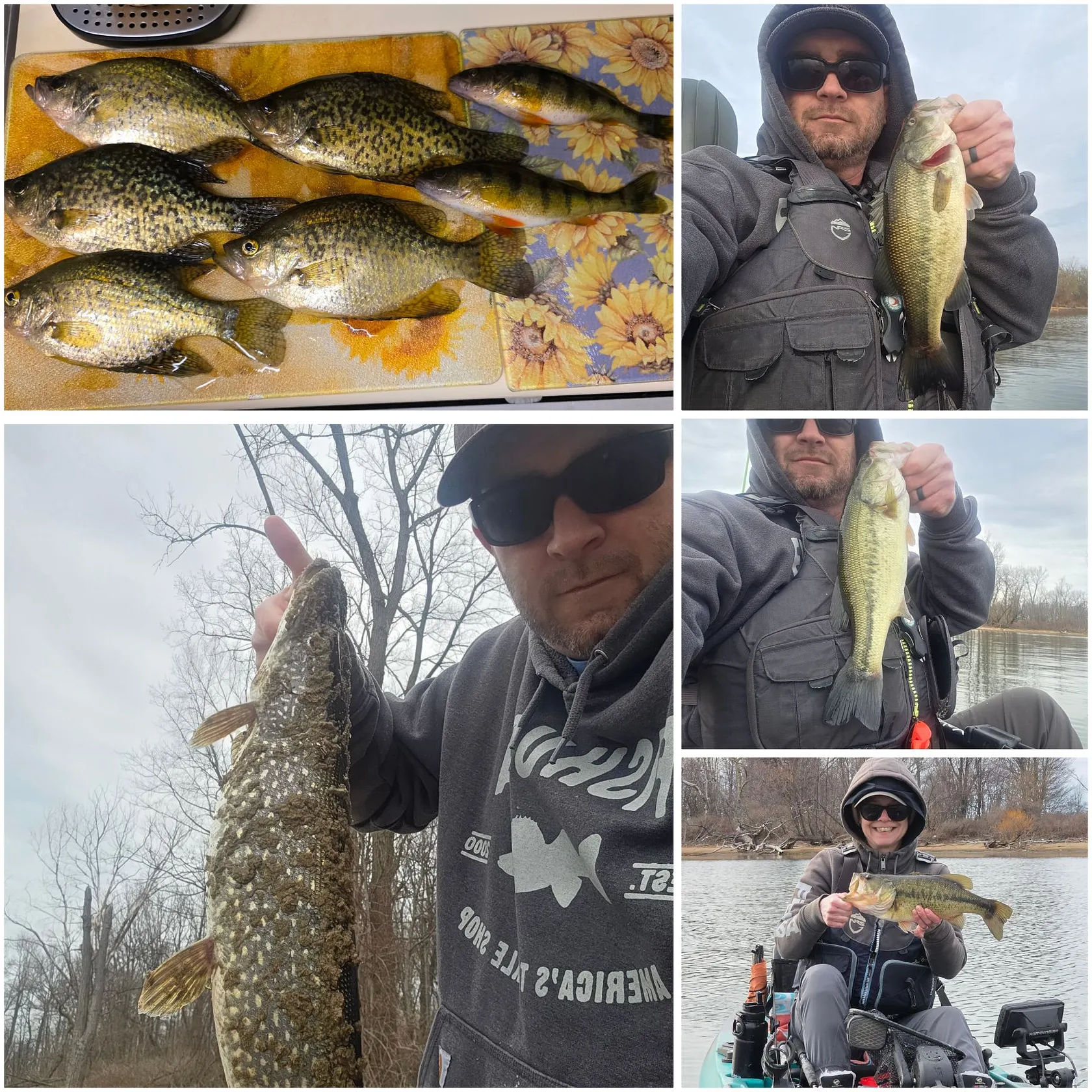 recently logged catches