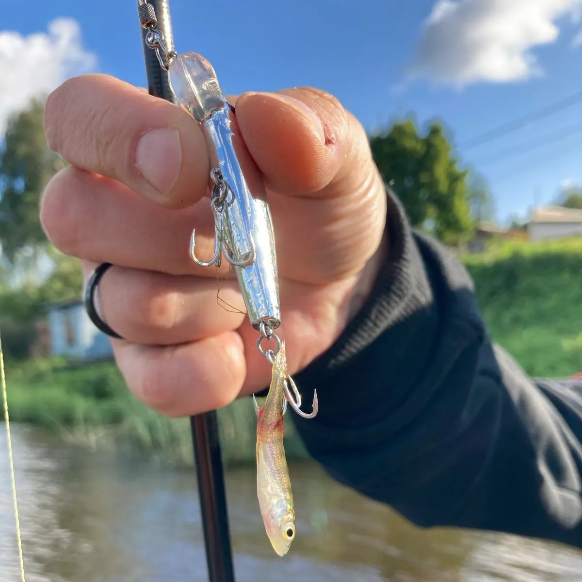 Fish caught on Fishbrain