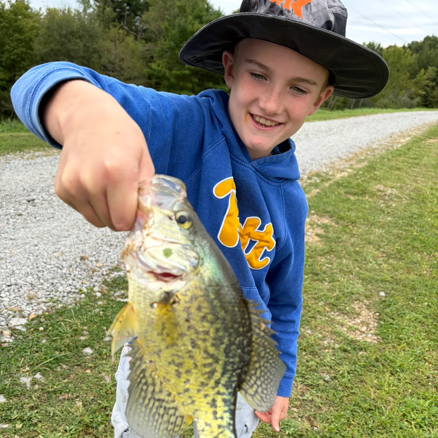 Black crappie caught on Fishbrain