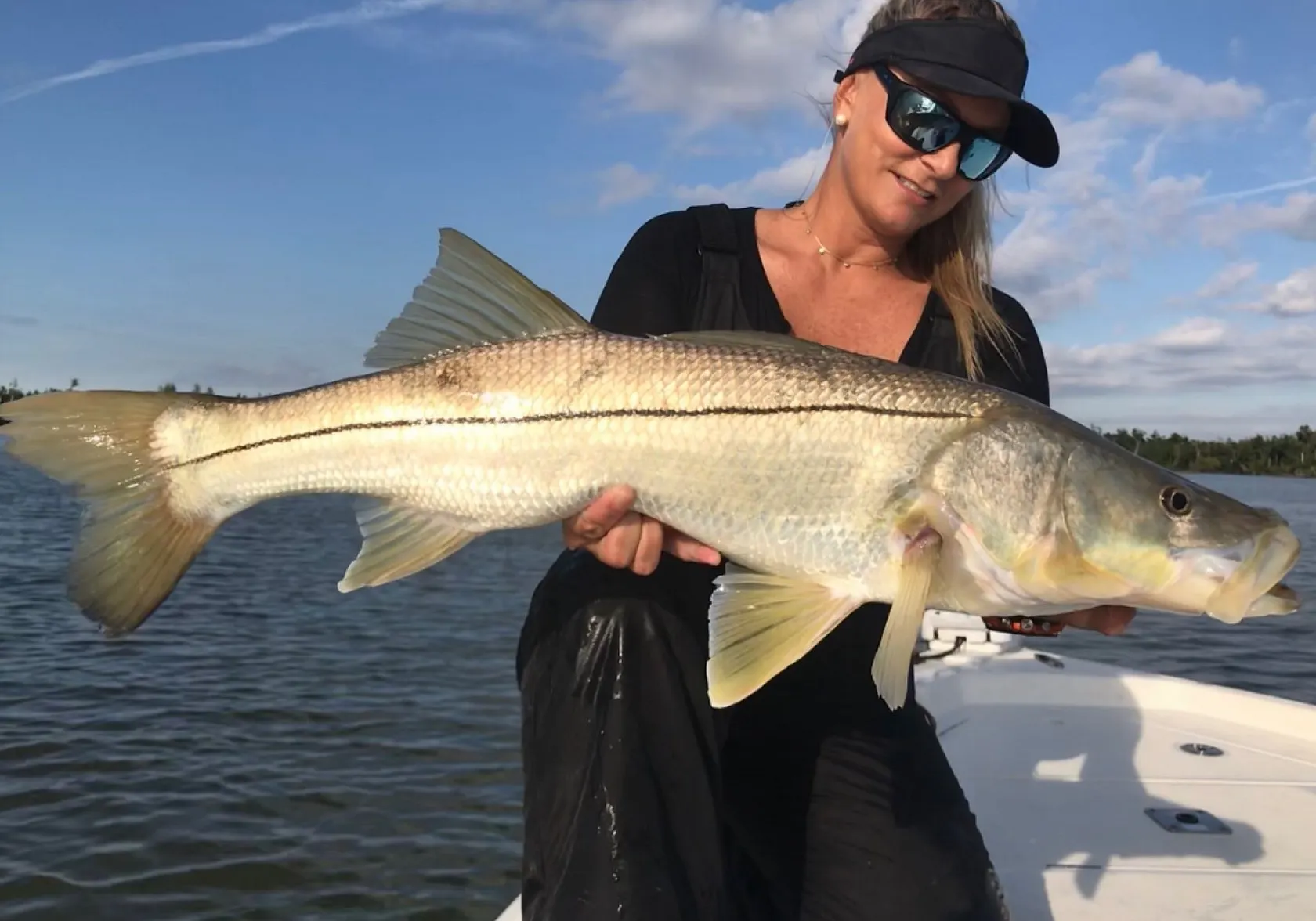 Common snook