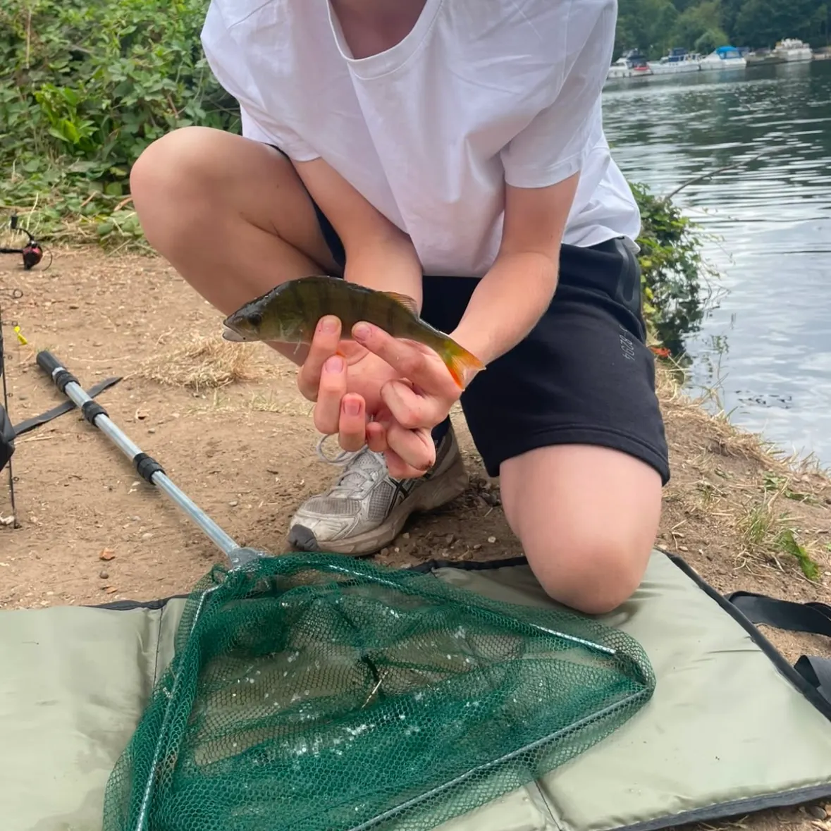 catch