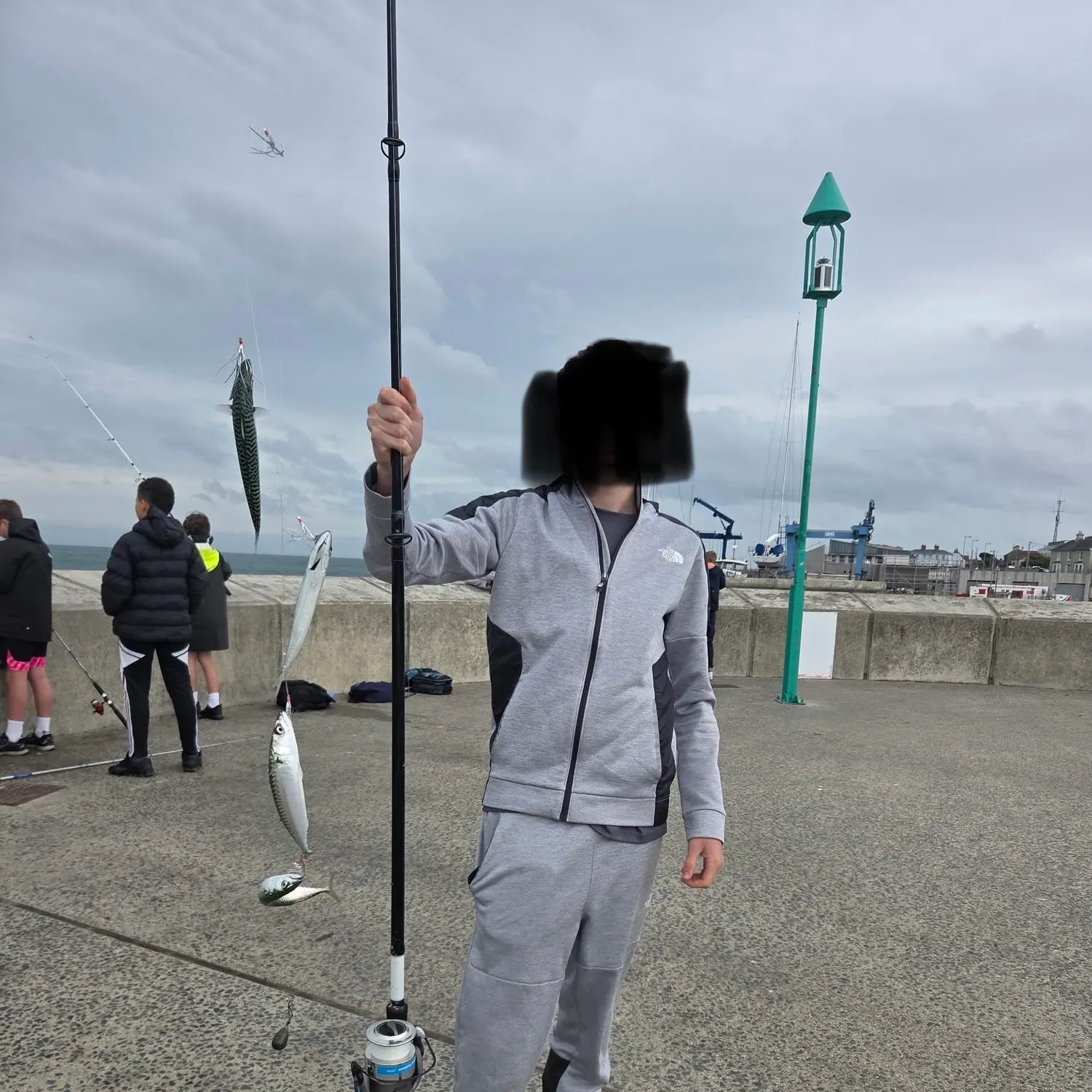 Atlantic mackerel caught on Fishbrain