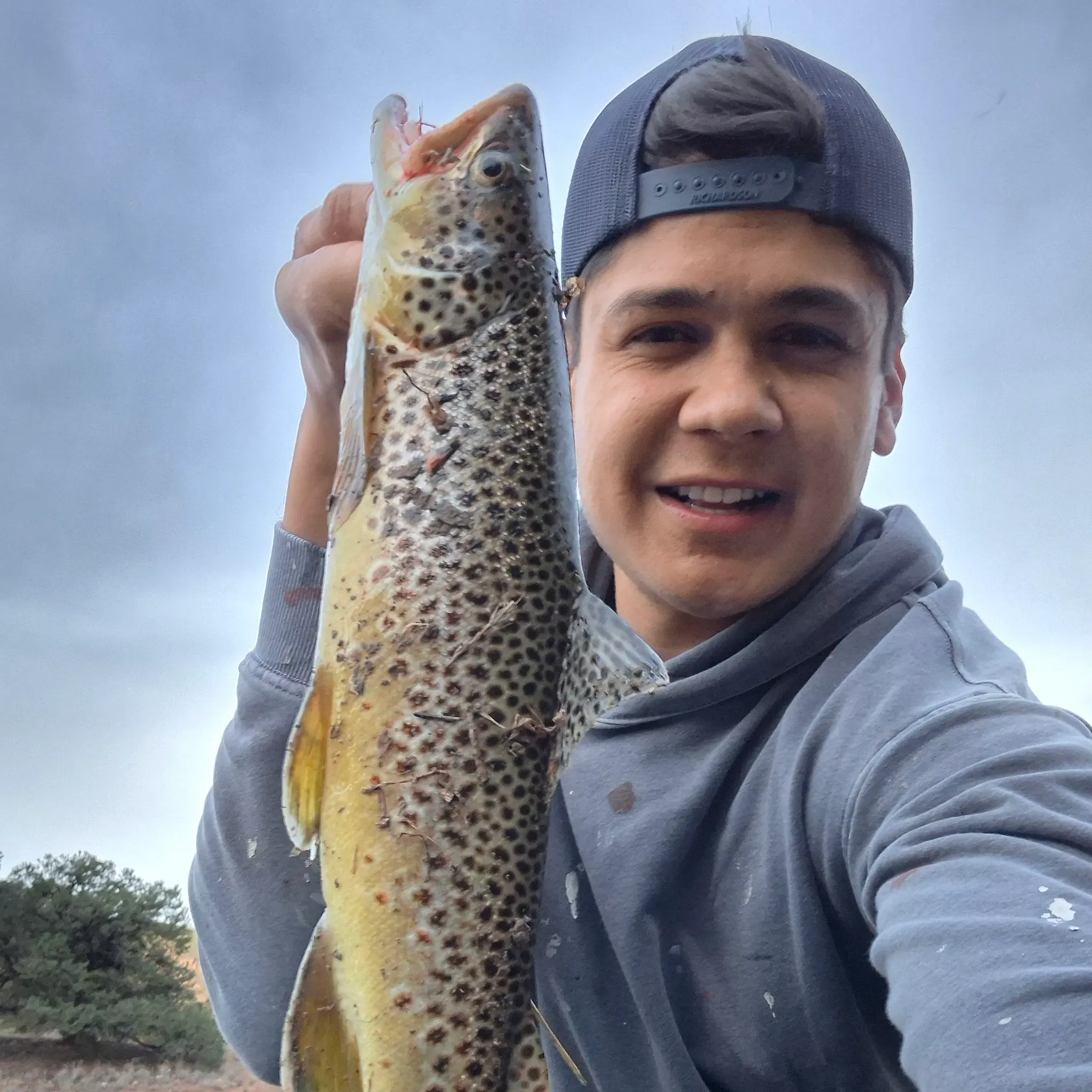 Lake trout caught on Fishbrain