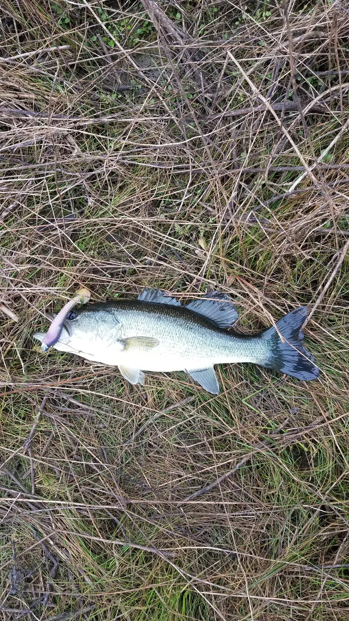 Post image from agraham5897