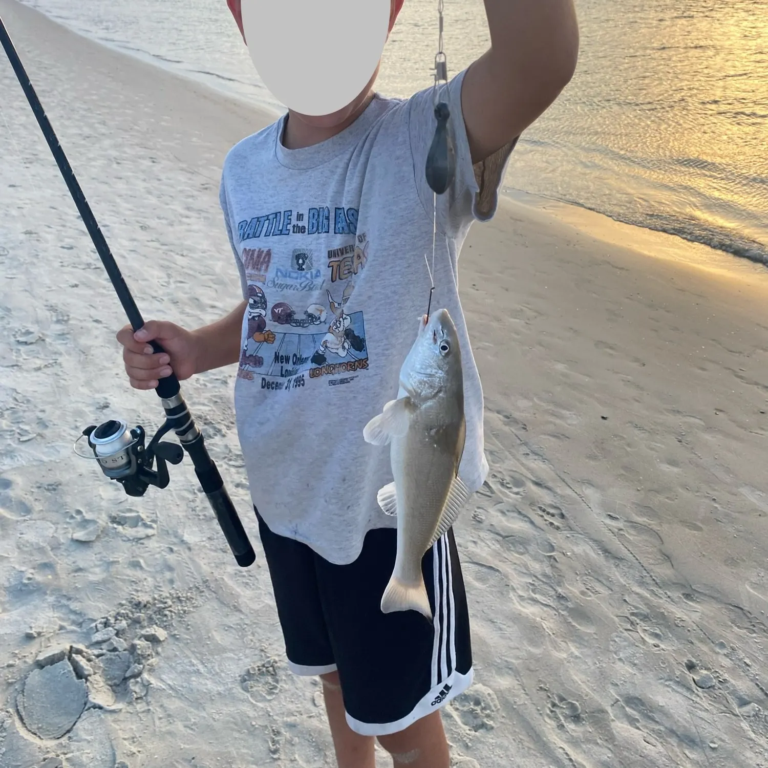 The most recent Blue whiting catches on Fishbrain