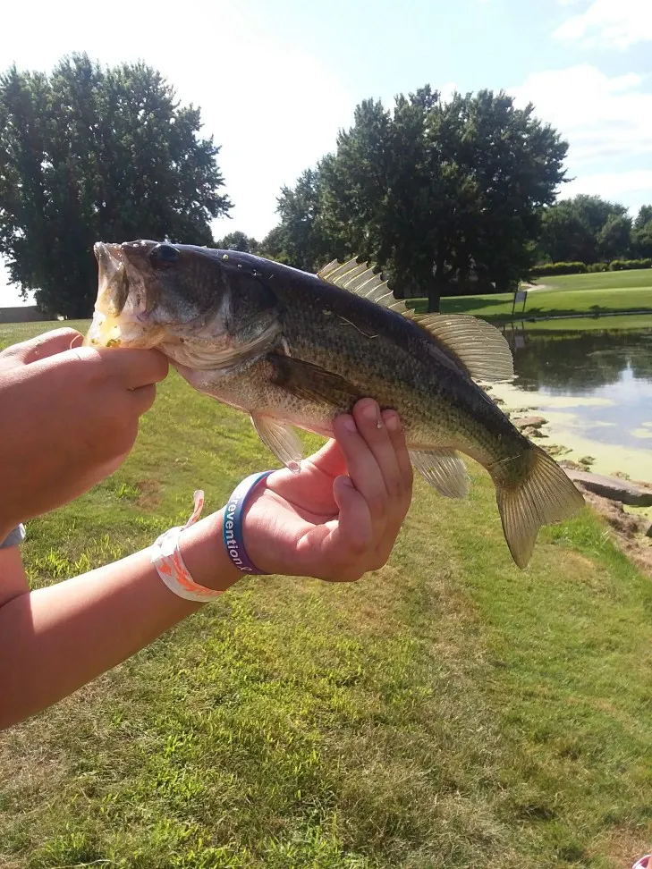 Post image from Noah77667