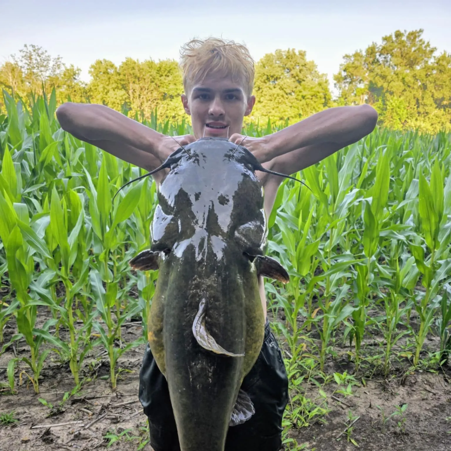 Flathead catfish caught on Fishbrain