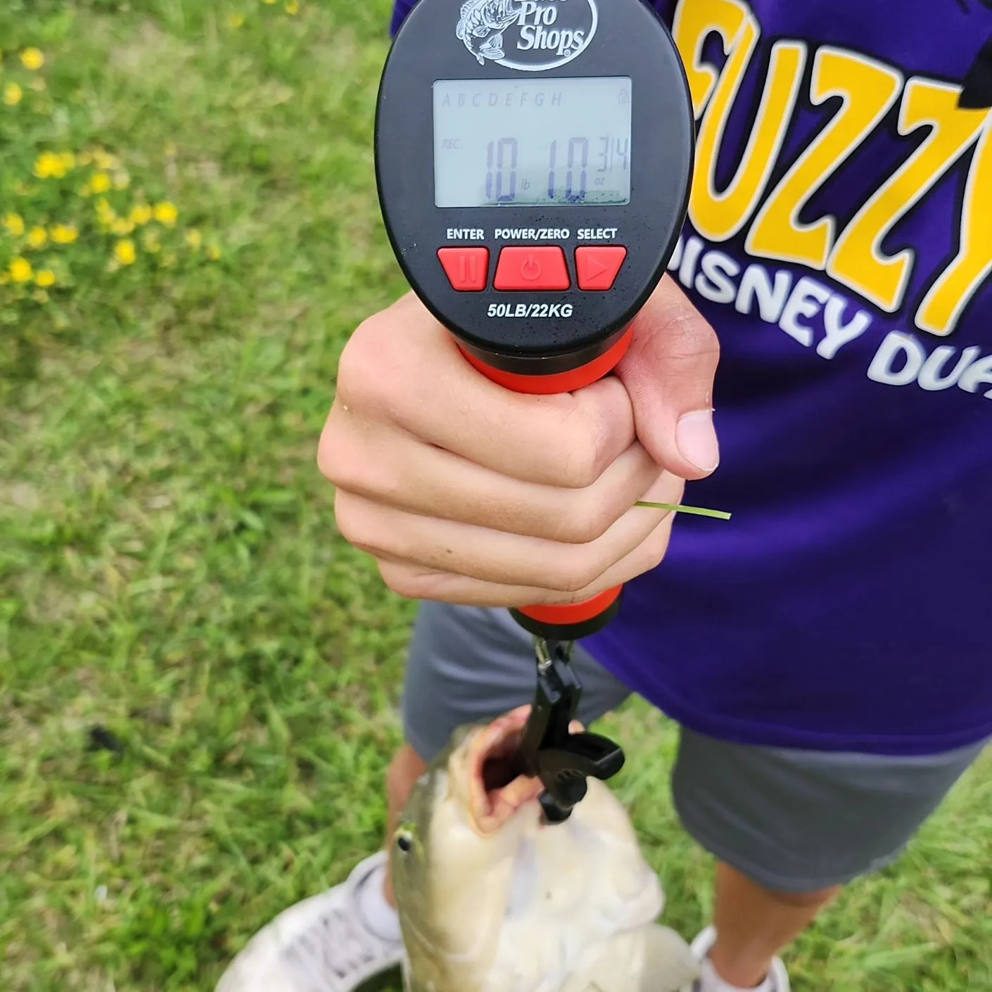 recently logged catches