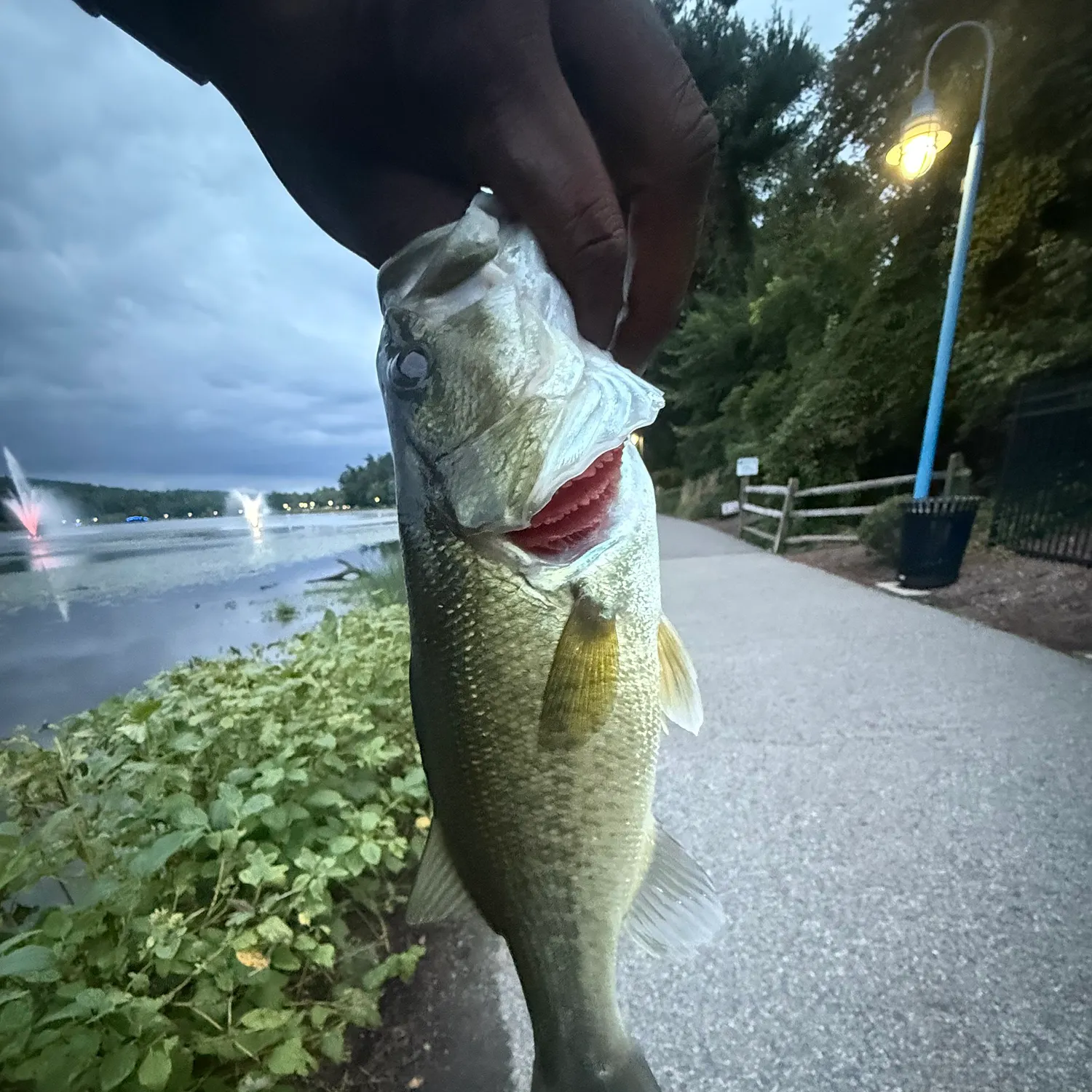 catch