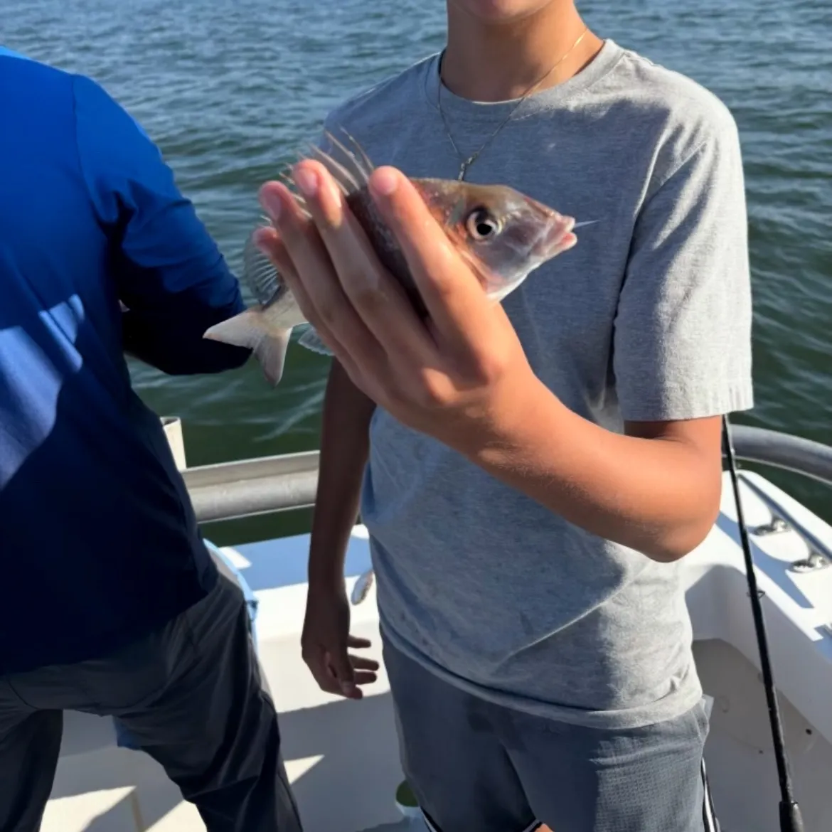 The most recent Longspine porgy catches on Fishbrain