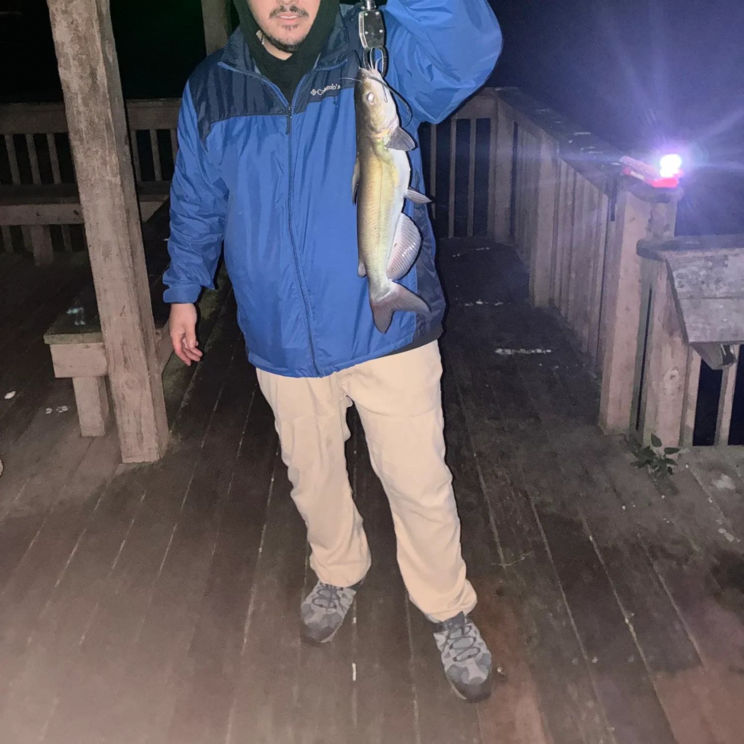 Channel catfish caught on Fishbrain