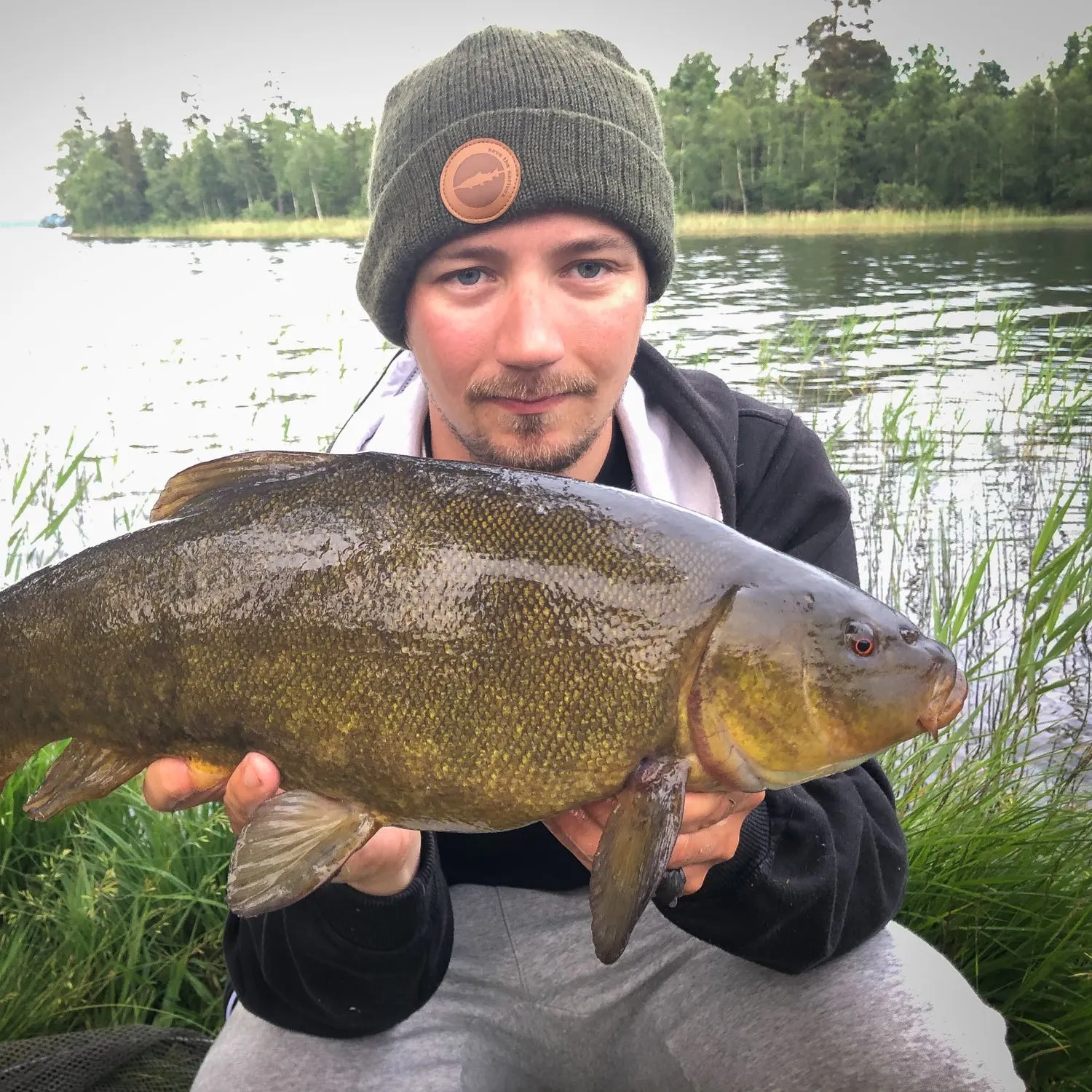 The most popular recent Tench catch on Fishbrain