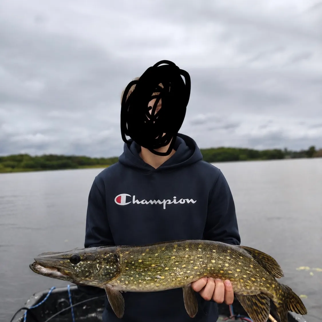 Northern pike caught on Fishbrain