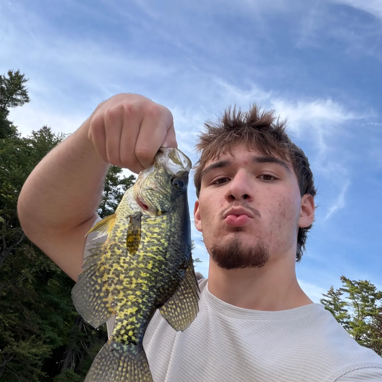 Black crappie caught on Fishbrain