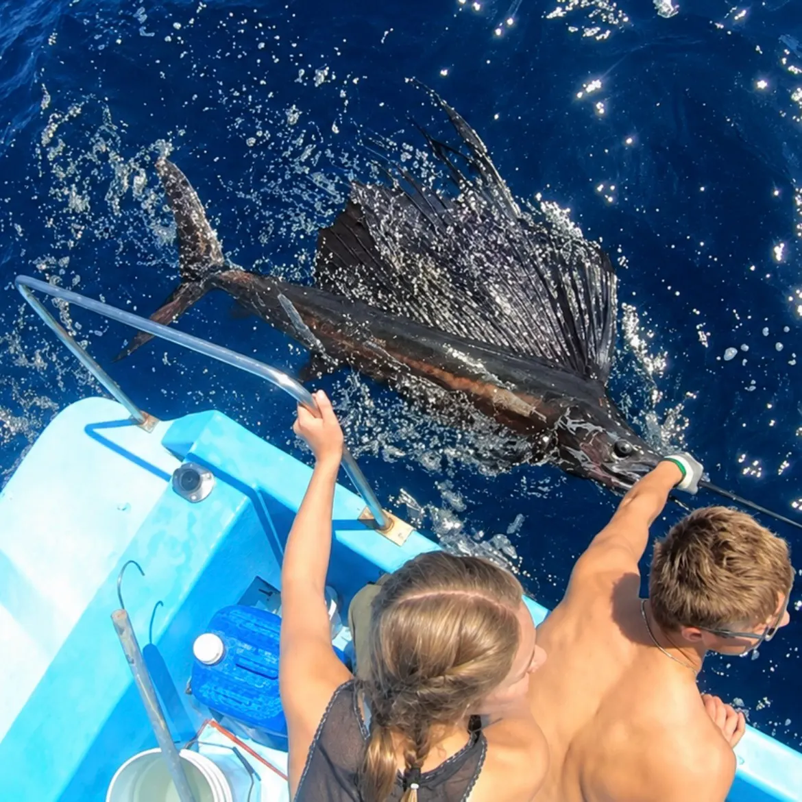 The most recent Indo-Pacific sailfish catches on Fishbrain